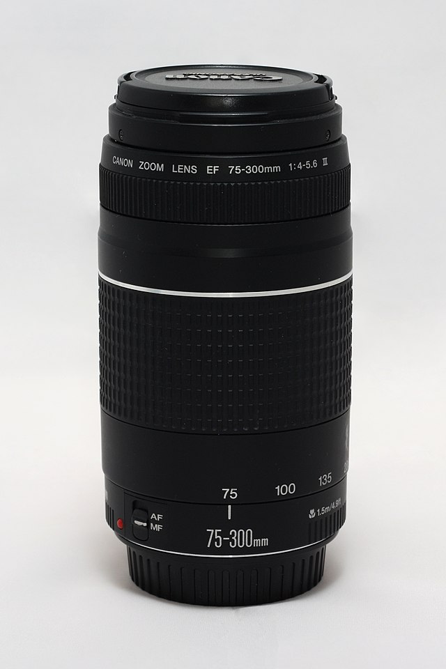Canon Ef 75-300Mm F/4-5.6 III Lens