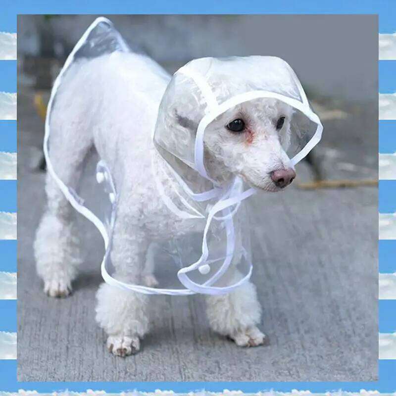 L-Pet Transparent Rainwear Pet Hooded Waterproof Jacket Clothes Soft Dog Raincoat Puppy Rain Poncho Durable
