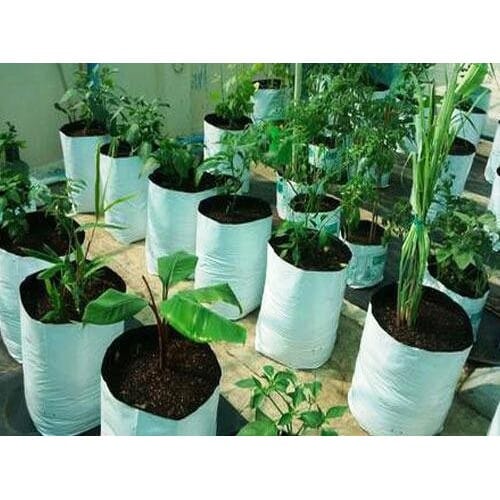 Large Grow Bags - Pack Of 10 Pcs | 10 x 16 Inch Large Size Plastic Grow Bags - 10 Pcs | Black/White UV Protected Reusable Grow Bag