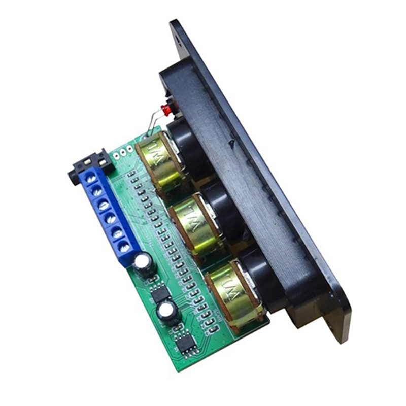 fasdaga 2X Digital Power Amplifier Board Stereo Amp NS4110B Sound Amplifier 2X20W HIFI Amplificador Treble Bass Tone, with Panel