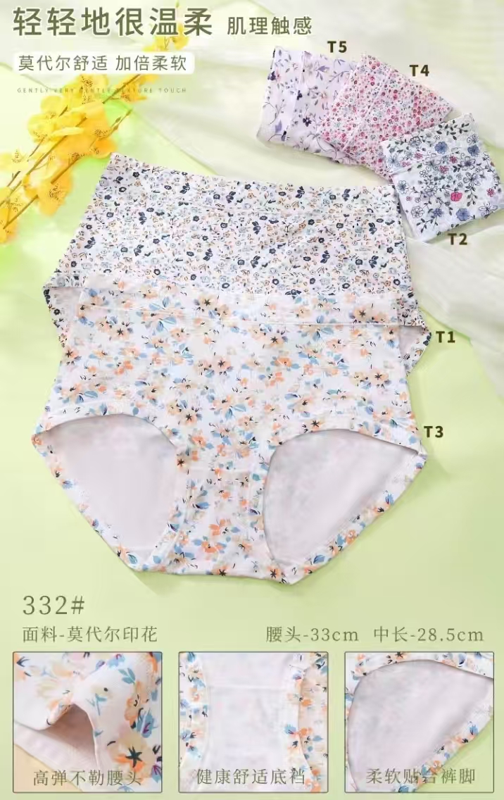 2Pcs/lot Seamless Panty Set Underwear Ice Slik Underwear For Women