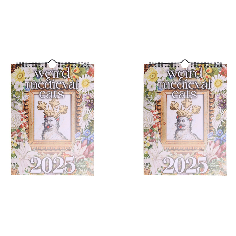 JAERBEE 2X 2025 Medieval Cats Calendar Weird Cats Calendar Funny Wall Calendar New Year Gifts for Home Decoration