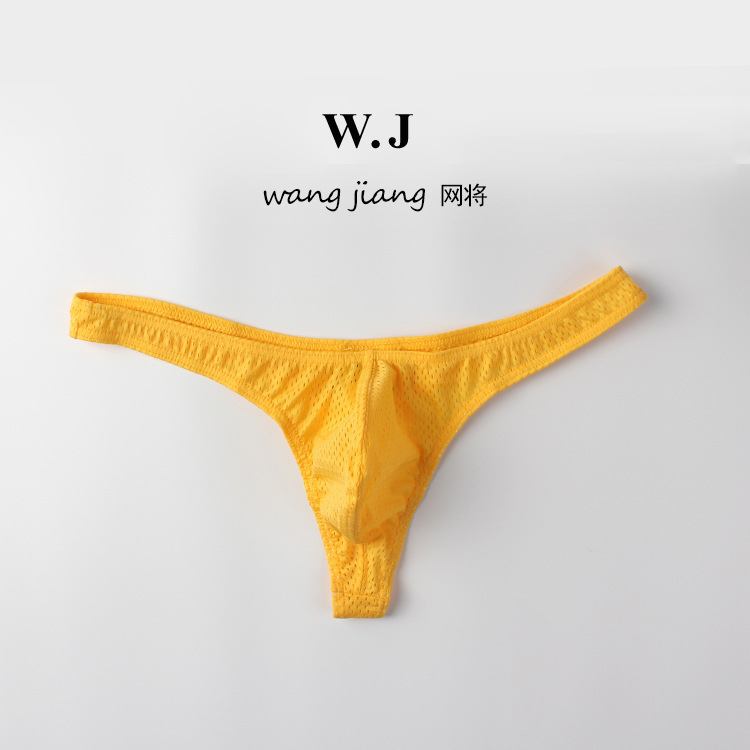 Men's Fashionable Mesh Ice Silk Smooth Breathable Nylon Comfortable Underwear Thong 1001-DK