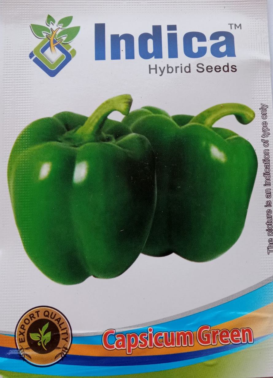 Vegetable Seeds - Capsicum Green Seeds 1 Gram