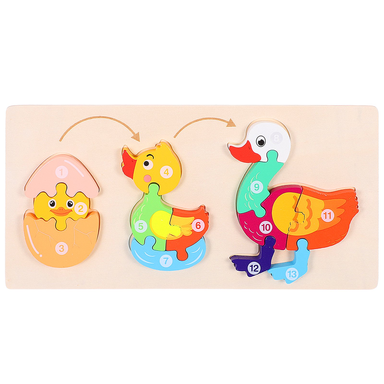 Colorful Wooden Duck Life Cycle Puzzle for Toddlers & Kids | 3-Stage Early Learning Educational Toy | Numbered Pieces (1-13) | Animal Development Stages