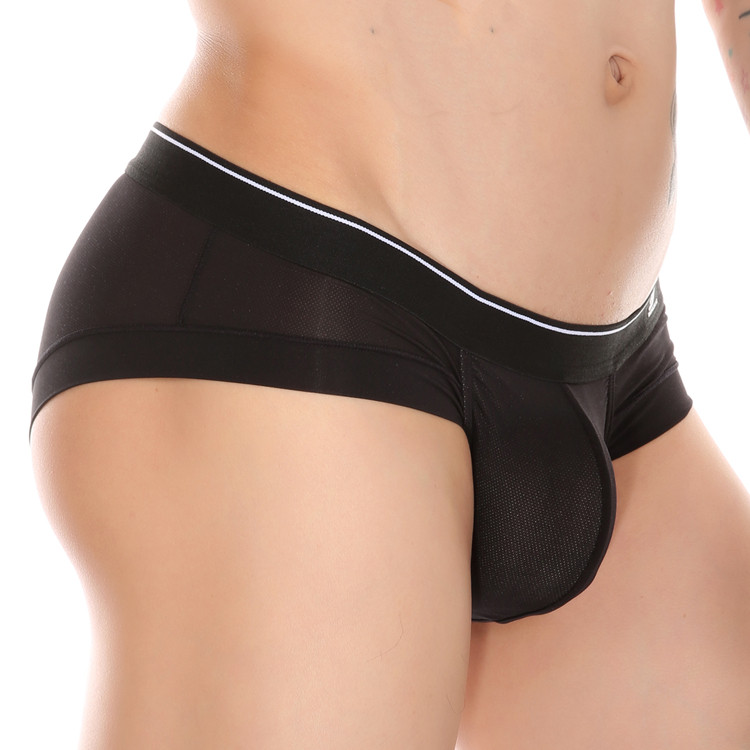 New Men's Ice Silk Mesh Comfortable Fabric Soft Personalized Breathable Youth Solid Color Briefs 1056-SJ
