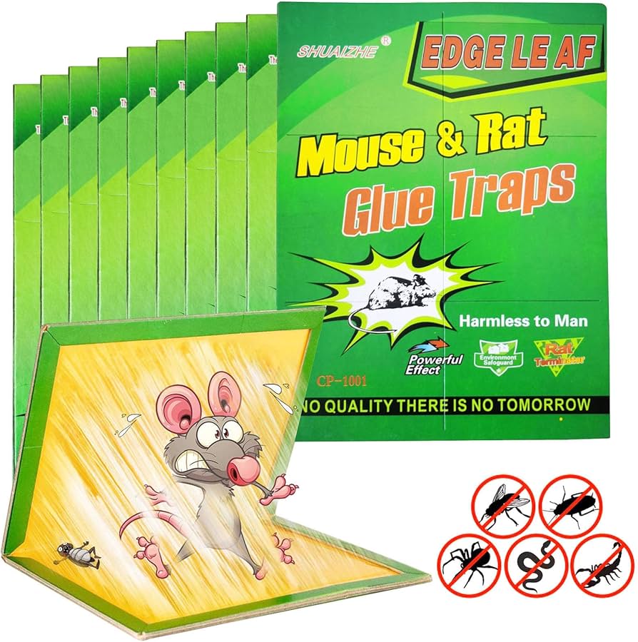 Professional Grade Mouse Glue Trap for Long-Term Indoor Rodent Management