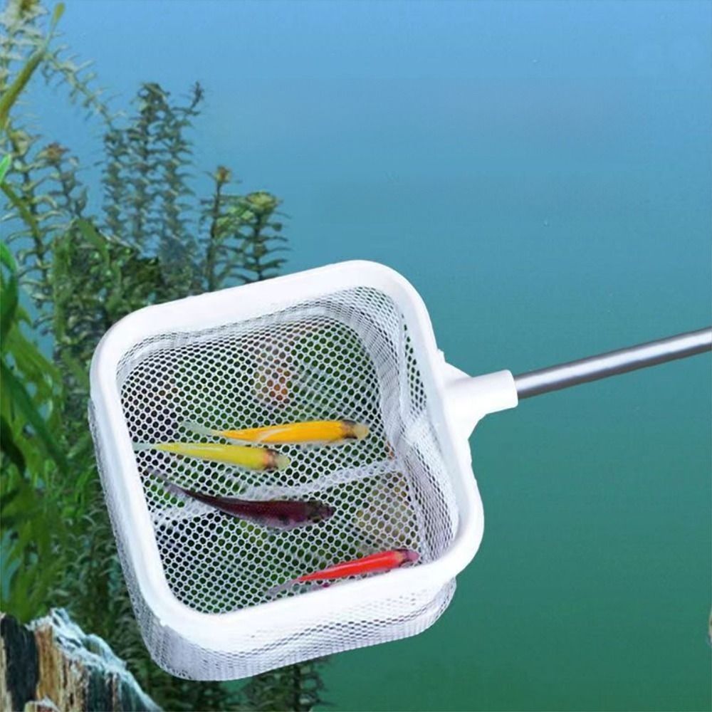 New With Suction Cup Aquarium Square Fishing Net Long Handle Extendable Goldfish Net Fishing Gear Aquarium Shrimp Net for Tank Clean Accessories