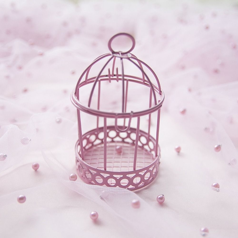 Elegant Bird Cage Mini Bird Cage Cute Portable Bird Cage Storage Box Craft Macaron Desk