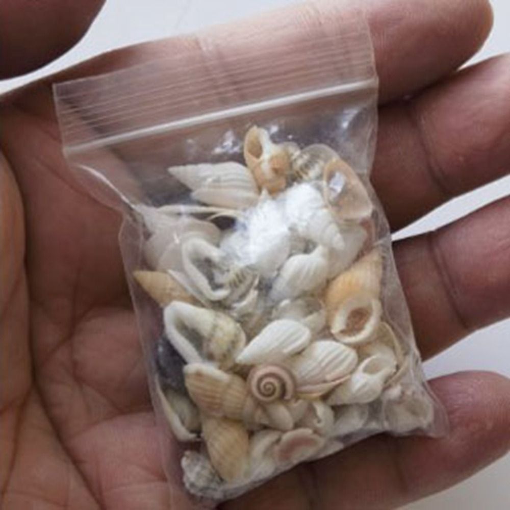 New 0.3~0.6cm Mini Conch Shell Mini Beach Scene Beach Seaside Model Dollhouse Decoration