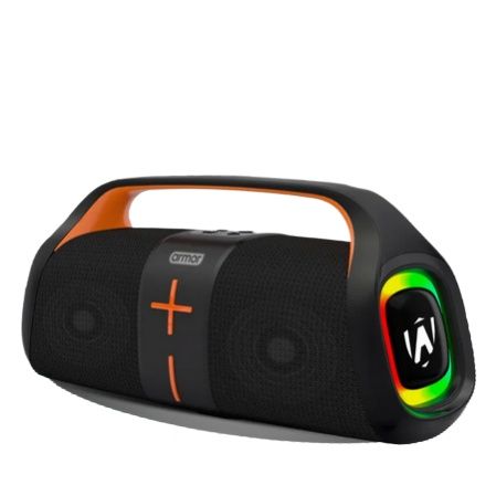 450 20W Portable Wireless Speaker with TWS Connection, RGB Lights, IPX5 Waterproof, 6 Hours Playtime, FM Radio, TF Card Support, Type-C Charging