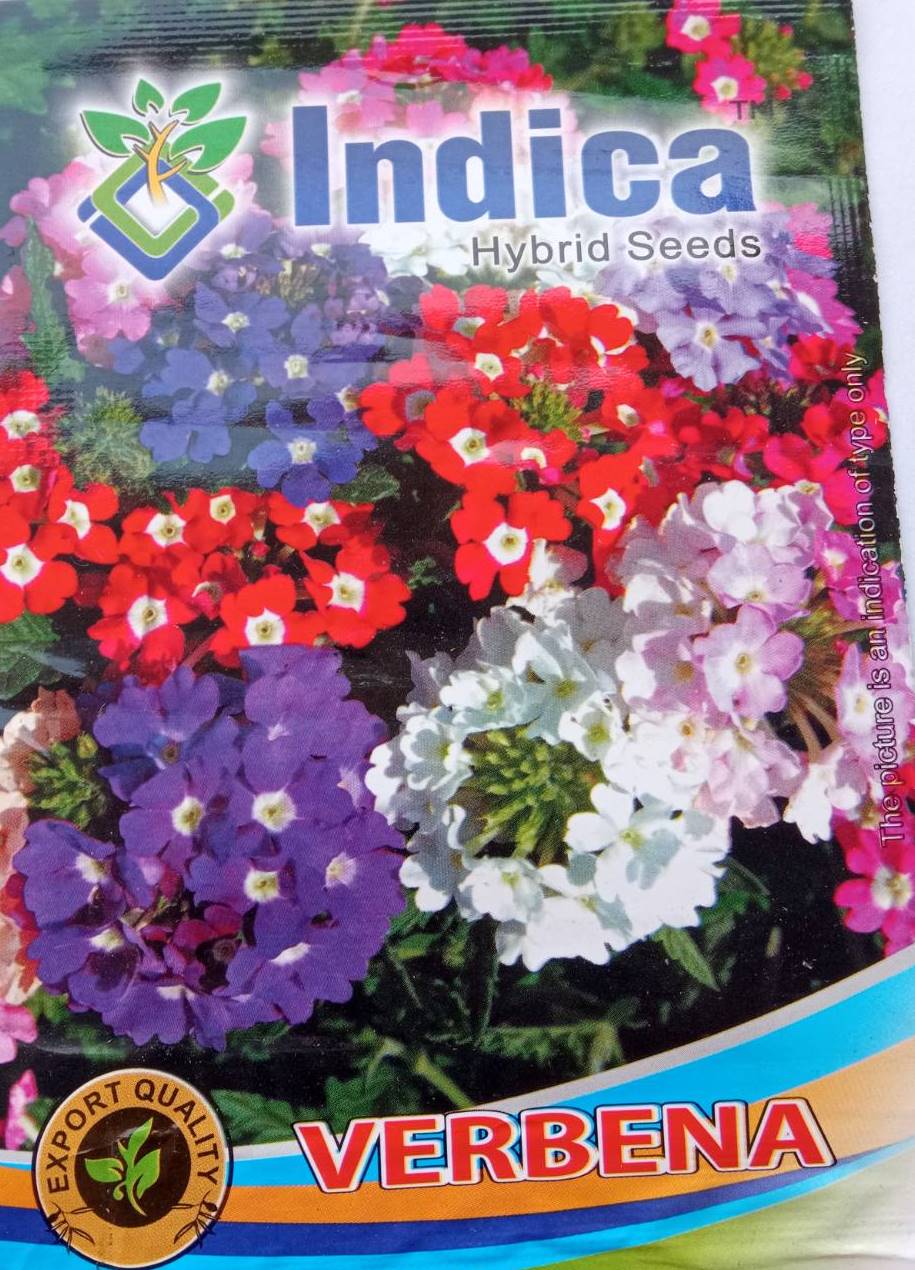 Verbena Mix Flower Seeds 2 Gram