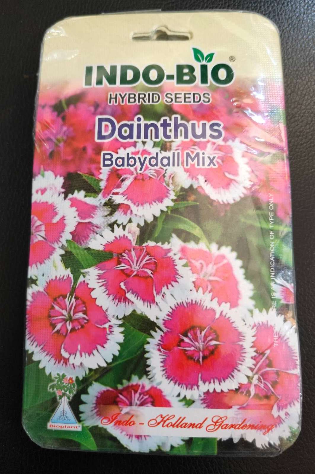 99 Mall offer 1 Packet Dianthus Flower Seeds (Multicolor) By 99 Stores