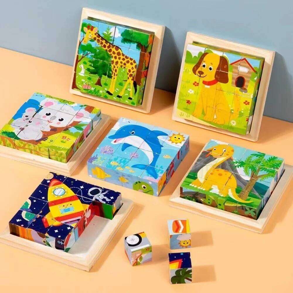A Set of Six-Sided 3D Cube Puzzle Tray Wooden Storage Childrens Educational Toys Fun Game