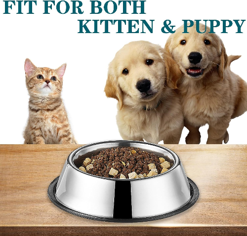 Leather Stainless Steel Spikes Puppy Cat Kitten Collar - Extra Small