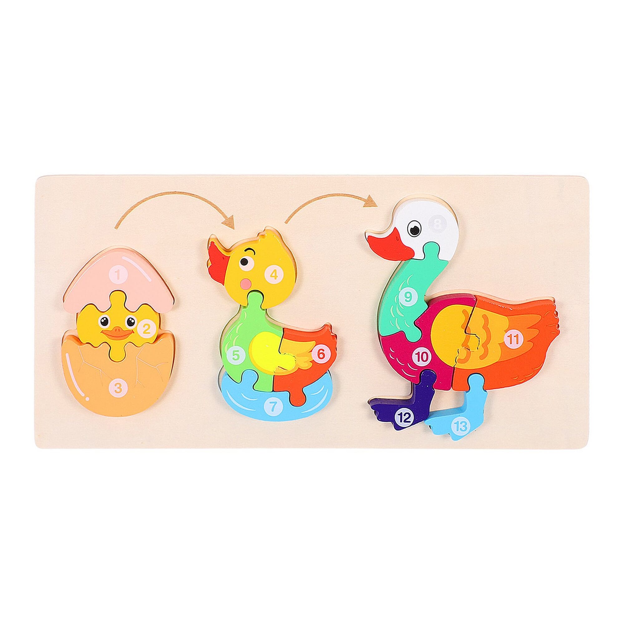 3D Colorful Wooden Life Cycle of Duck Puzzle, Early Education Jigsaw Puzzle Toys for Baby & Toddlers