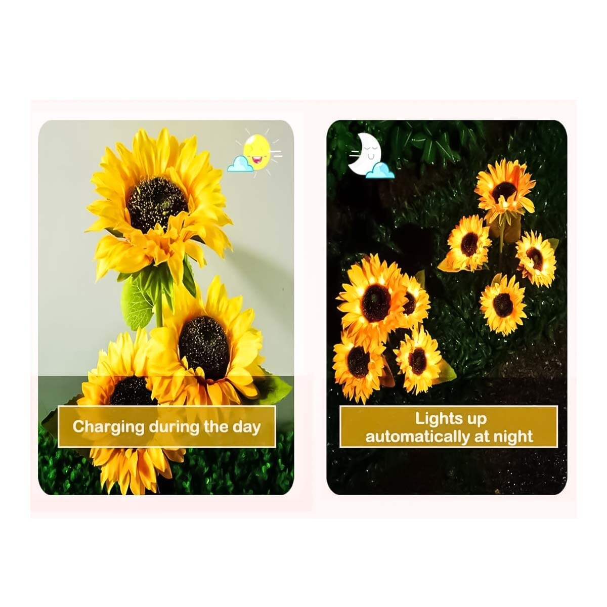 Solar Light Outdoor Waterproof Garden Sunlight