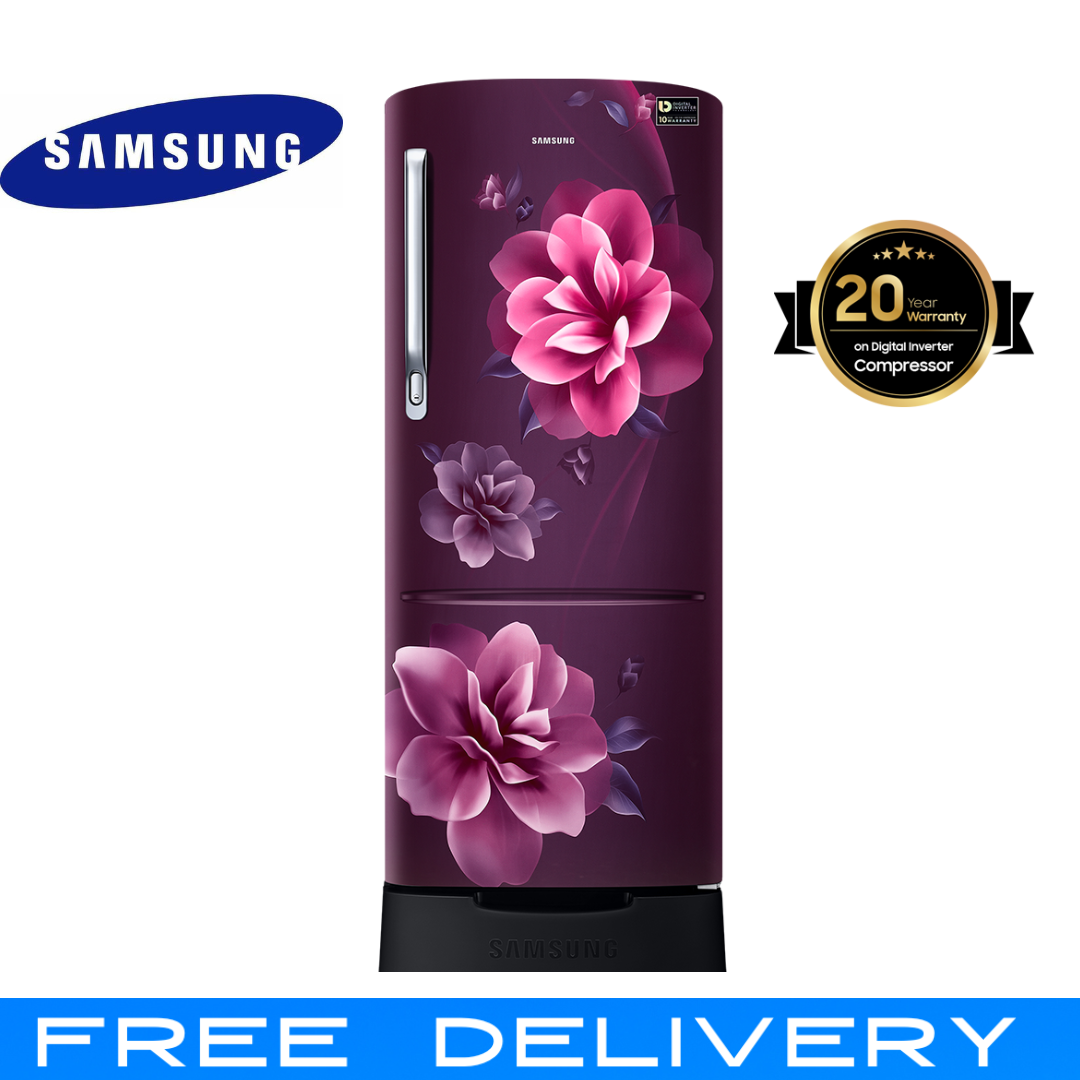 SAMSUNG 192 Litres Single Door Refrigerator - RR20T282ZR8 With Digital Inverter and 20 years 20-Year Compressor Warranty