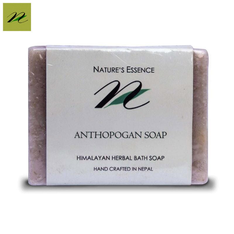 Nature's Essence Anthopogan Herbal Soap 100Gm