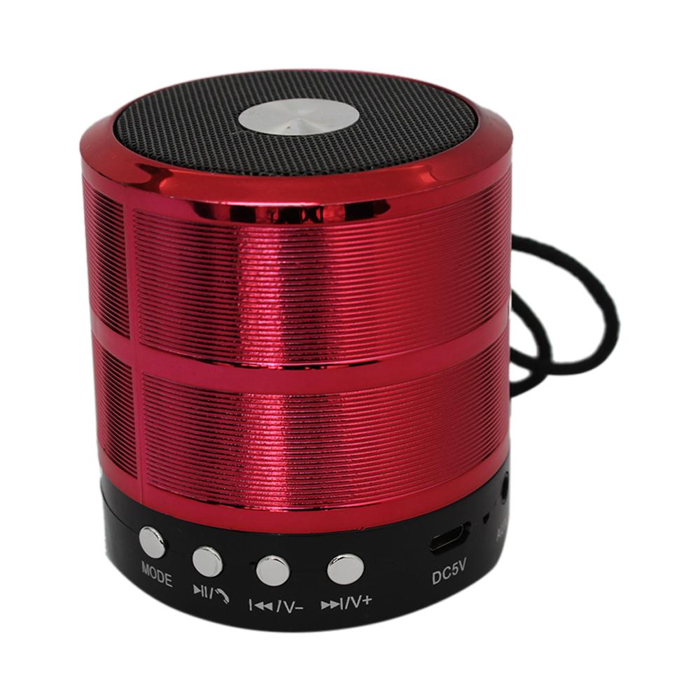 Portable Bluetooth Speaker WS887 - Color May vary