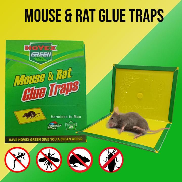 Long-Lasting Mouse Glue Trap with Extra Strong Adhesive and Easy Placement Design