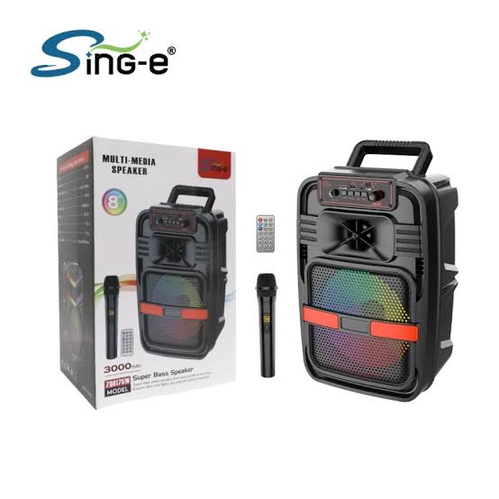 Big Sound 8 inch Rechargeable Portable Bluetooth Party Speaker With Wireless Mic And Remote Control
