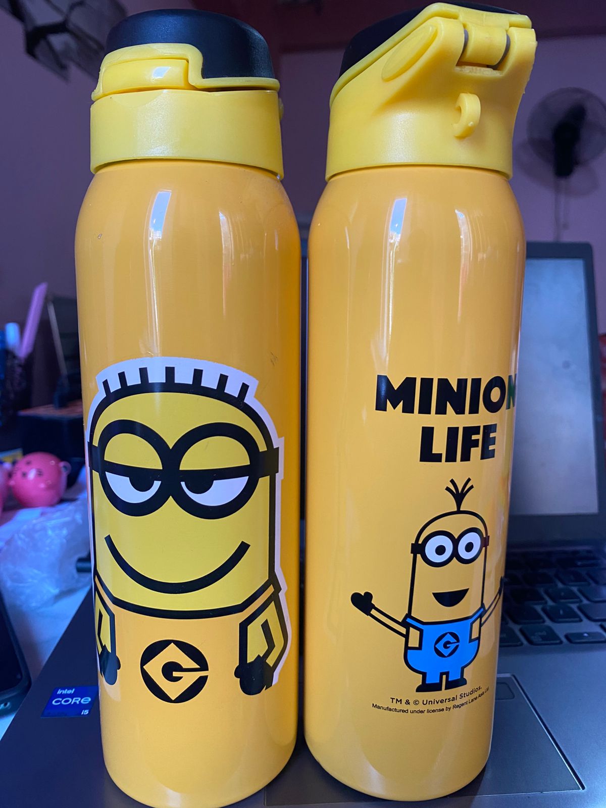 Stainless Steel Kids Cartoon Characters Insulated, Vacuum Water Bottle With Straw 750ml