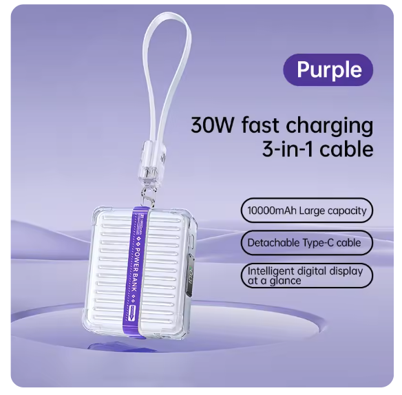 NOHON 30W Tourist 10000mAh Power Bank