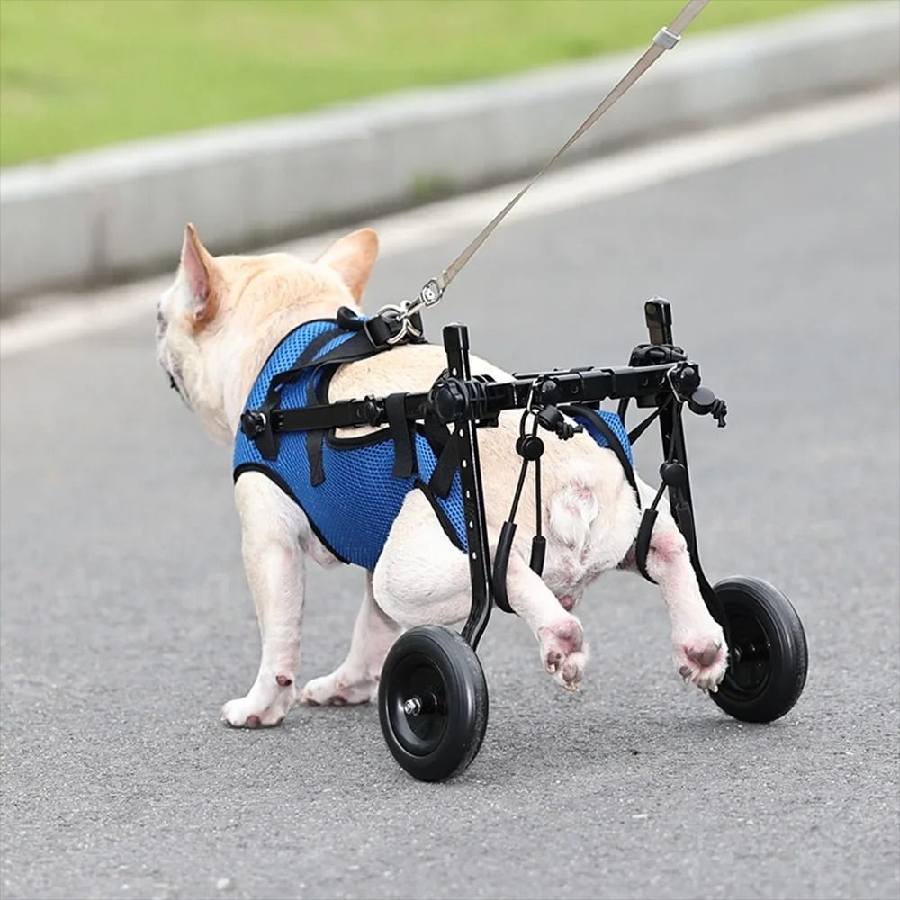Mobility Assistance Adjustable Pet Walk Booster Durable Light Dog Wheelchair Cart Pet Walk Tool Blue Pet Hind Legs Bracket Disability Dog