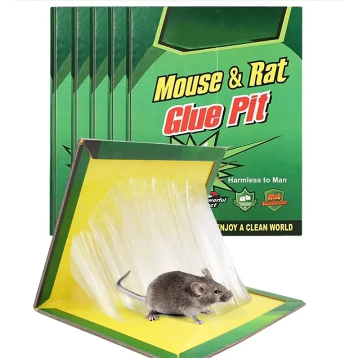 Powerful Adhesive Mouse Trap Board for Catching Rats and Mice in Homes and Warehouses