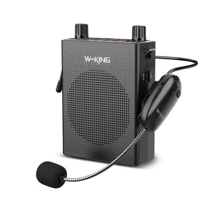W-King KS16 Wireless Bluetooth Fm USB SD Speaker with Microphone