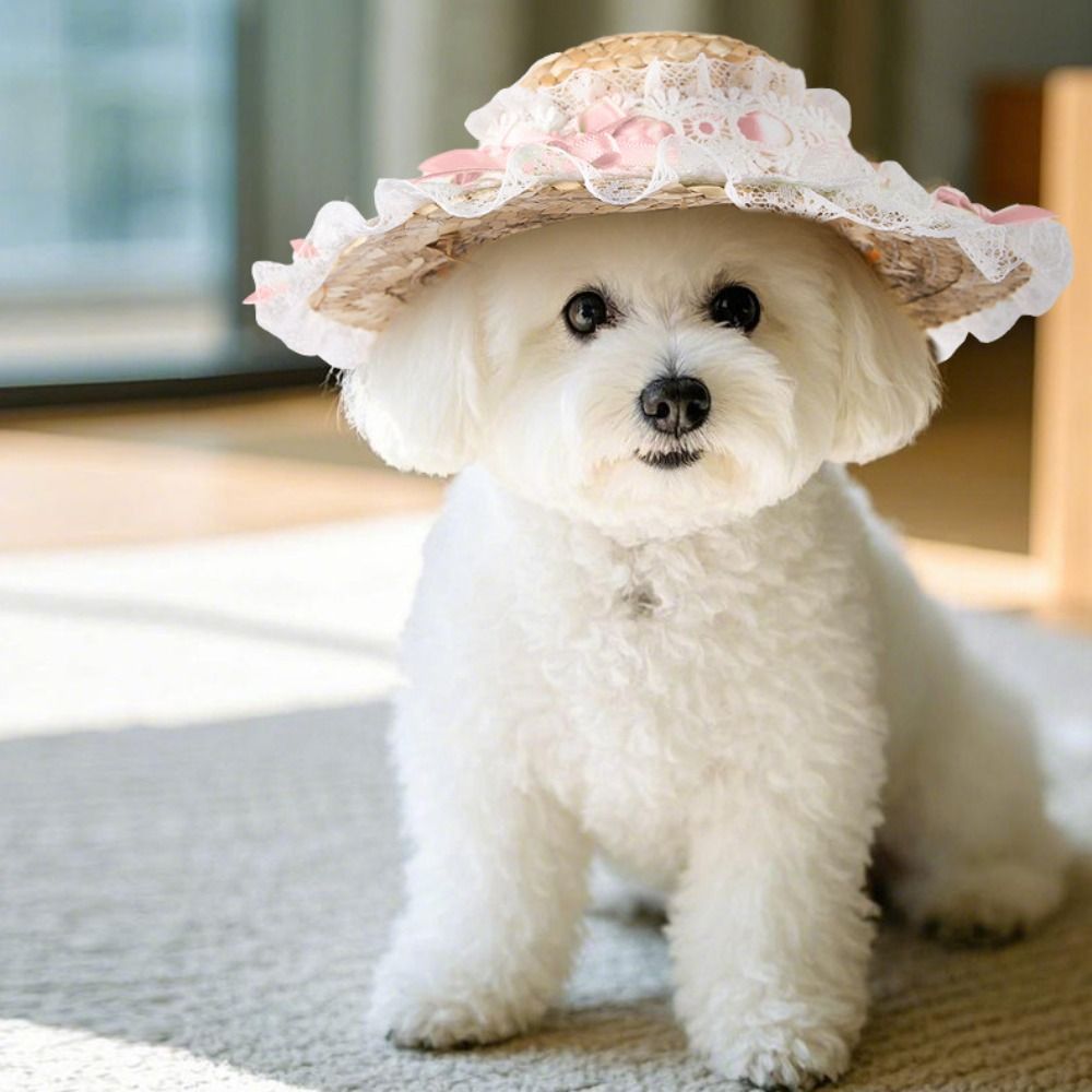 Pet Outdoor Supplies Princess Hat Puppy Sun Hat Portable Adjustable Dog Straw Hat Lace Cute Pet Summer Cap Cat