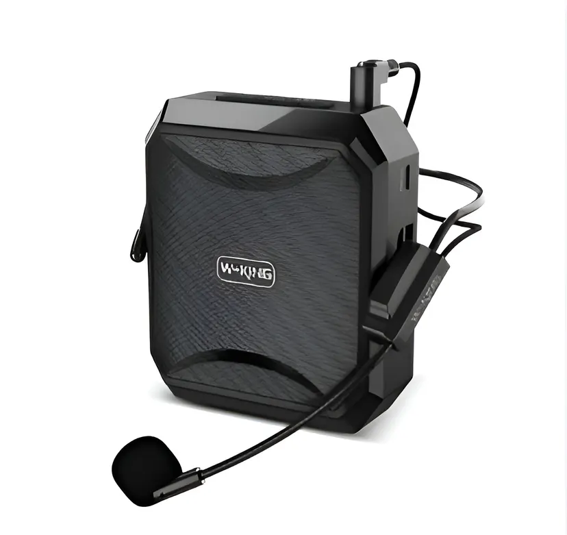 KS01 W-King Bluetooth Speaker With Teacher Microphone