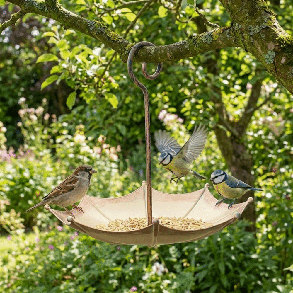 Practical Umbrella-shaped Hanging Bird Feeder Anti-leakage Plastic Bird Water Drinker Multifunctional Creative Hummingbird Feeder Bird Supplies