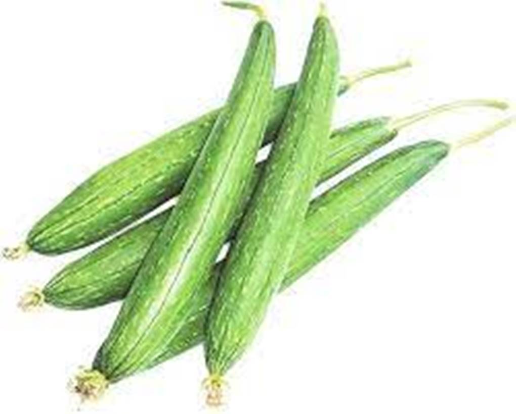1 Packet Kakri Agri Vegetable Seeds 3 Gram