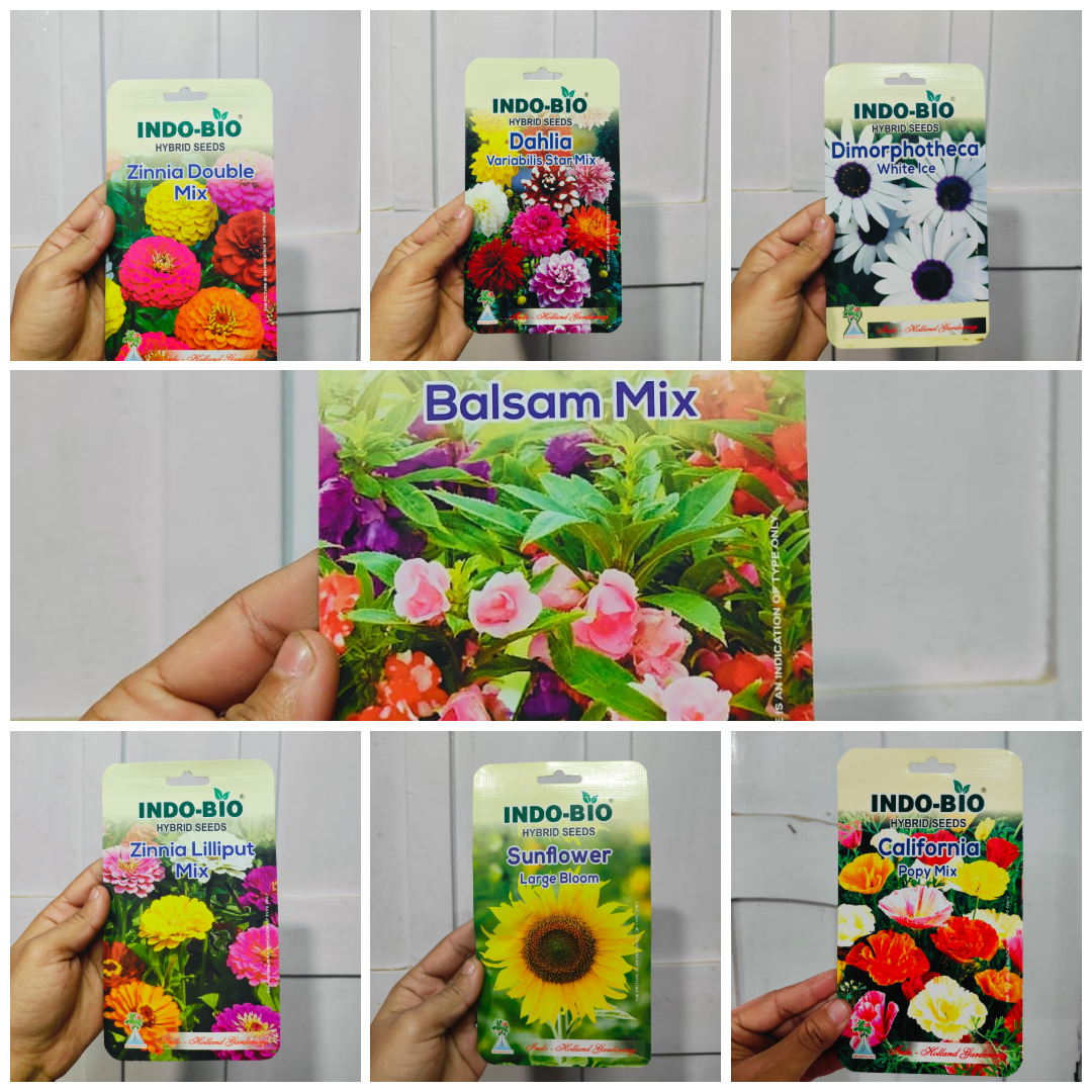 1 Packet All-Season, All-Year Flower Seeds: A Gorgeous Collection for Vibrant Blooms, Endless Color, and Thriving Gardens in Every Season - New & Fresh Seeds - High Germination Rate