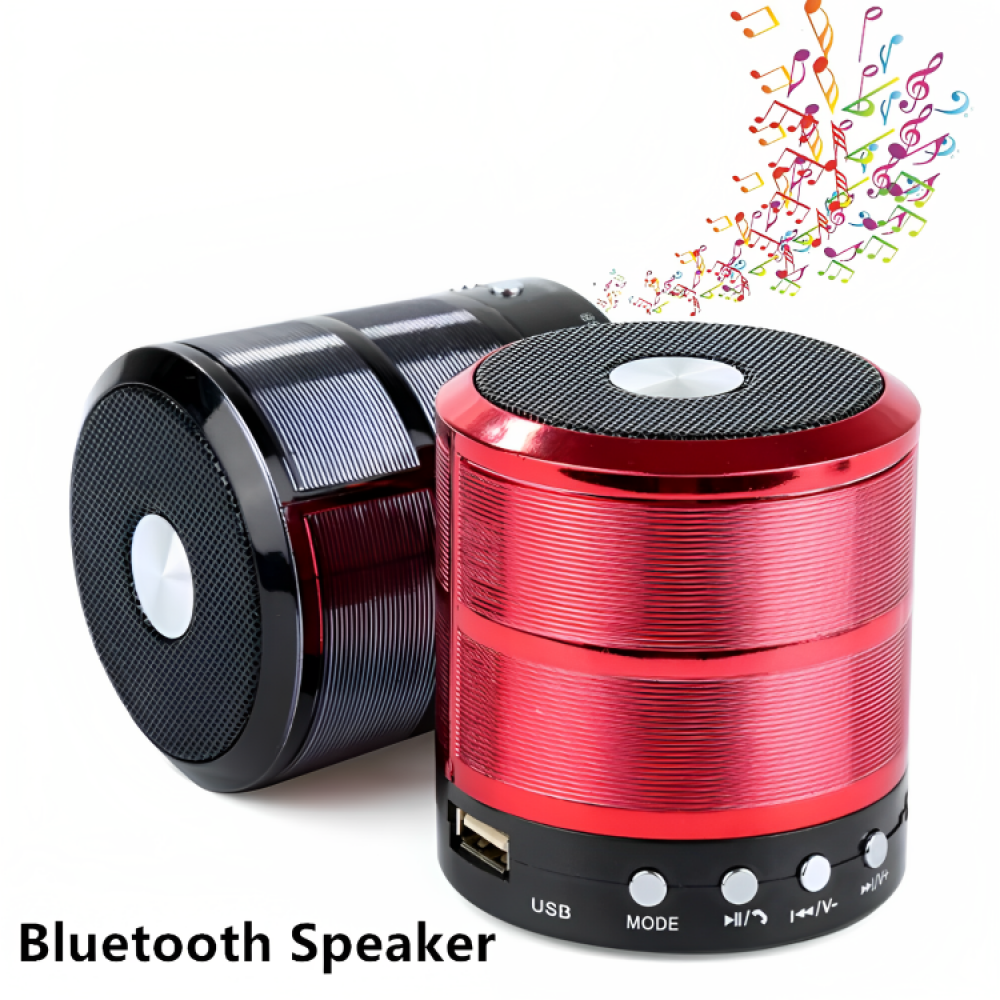 Mini Bluetooth Speaker WS-887 with FM Radio, Memory Card Slot, USB Pen Drive Slot, AUX Input Mode