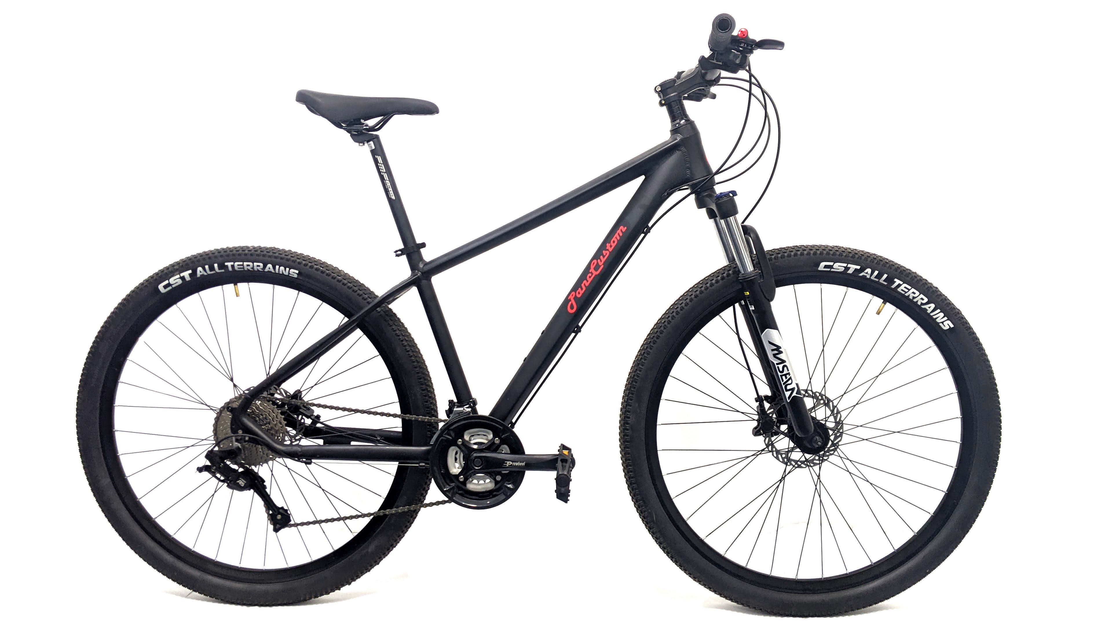 Panc Custom Cascade 2 Mountain Cycle