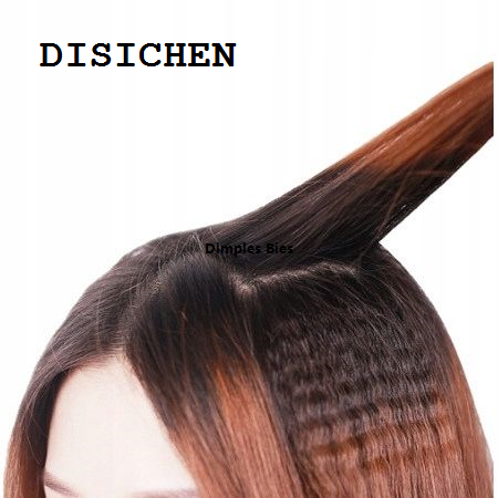DISICHEN 2025 New 220cGeemy curling iron temperature GM