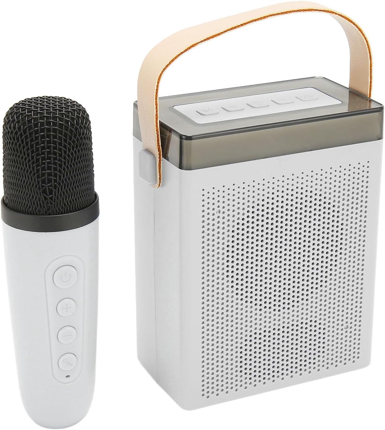 Karaoke Machine for Kids Adults, Mini Portable Bluetooth Speaker with Wireless Microphone and RGB Lights, Present for Girls Boys for Home Party KTV
