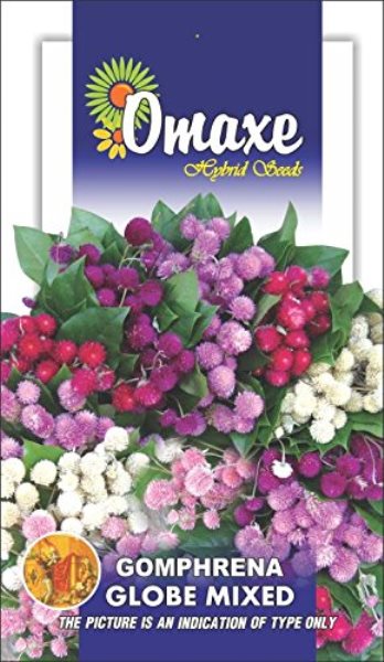 Omaxe Gomphrena Mixed - Excellent Quality Selected Seeds