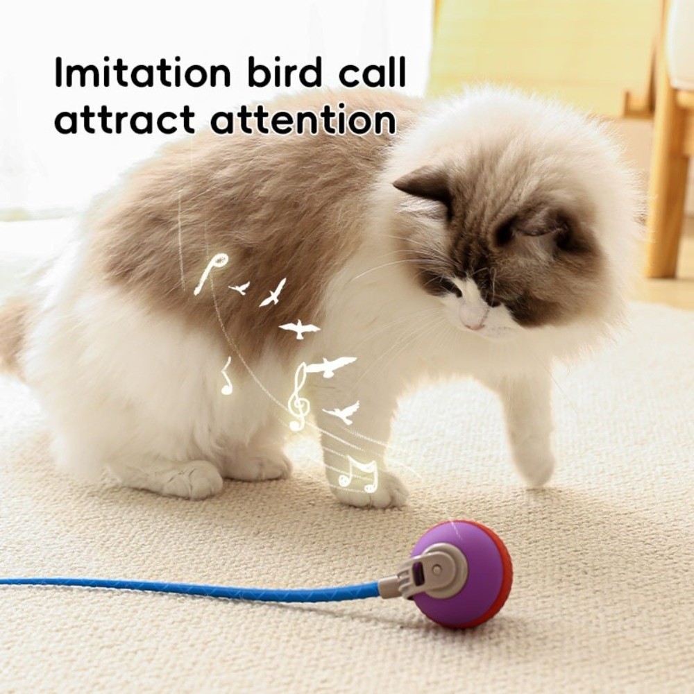 Cat Teaser Stick Rechargeable Pet Automatic Rolling Ball Adjustable Silicone Electric Cat Teaser Small Tail Cat Teaser Ball Training