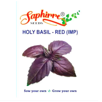 Red Holy Basil Seeds - 20+ Seeds of Krishna Tulsi (Also Known as Ram Tulsi) | Ocimum Sanctum for Sacred and Medicinal Gardening loose seeds
