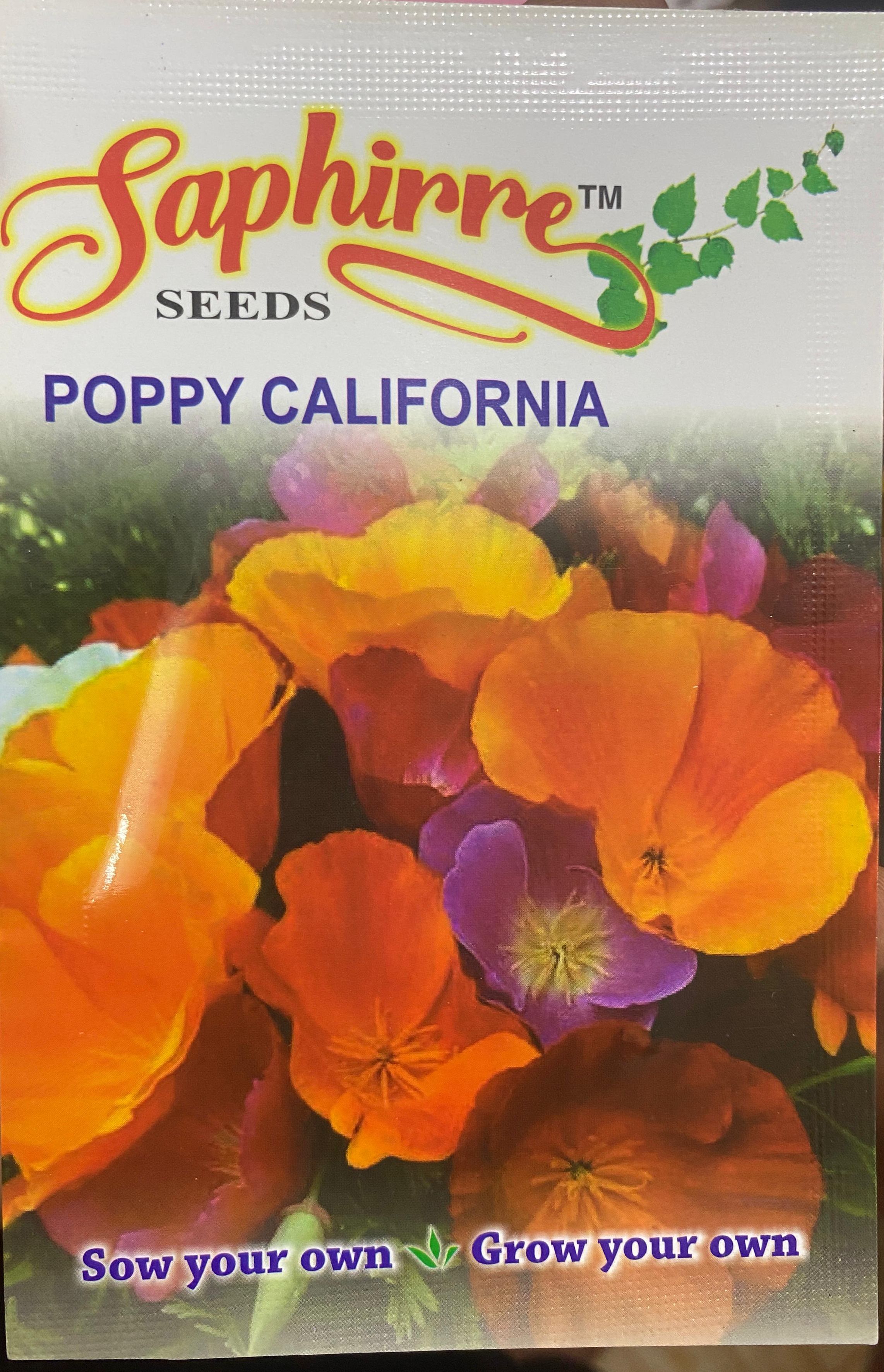 99 Mall Offer 1 Packet Saphirre California Poppy Seeds 100 Plus Seeds - California Poppy Seed By 99 Stores