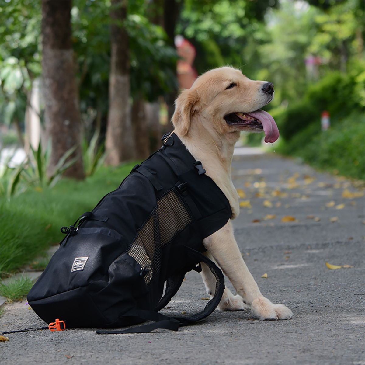 Dog Bag New Carrier Pet Dog Backpack for Large Medium Small Dogs for Riding Hiking (S) - Blue s