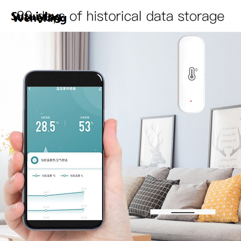 Wenefang Tuya Smart Zigbee Hanging Temperature Humidity Sensor Removeable Profesional Smart Life Thermometer Detector Alexa Google Home Voice Control