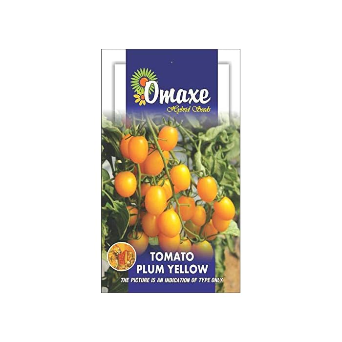 1 Packet Omaxe Tomato Plum Yellow Seeds For Planting - High Germination Rate Fresh & New Seeds