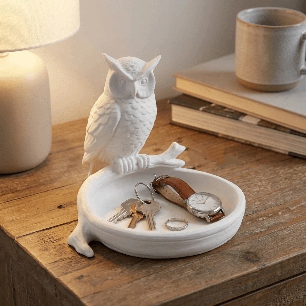 Ornaments 3D Printed Owl Storage Tray Cartoon Animal Shaped Modern Entrance Key Bowl Cute Plastic Earrings Display Dish Office