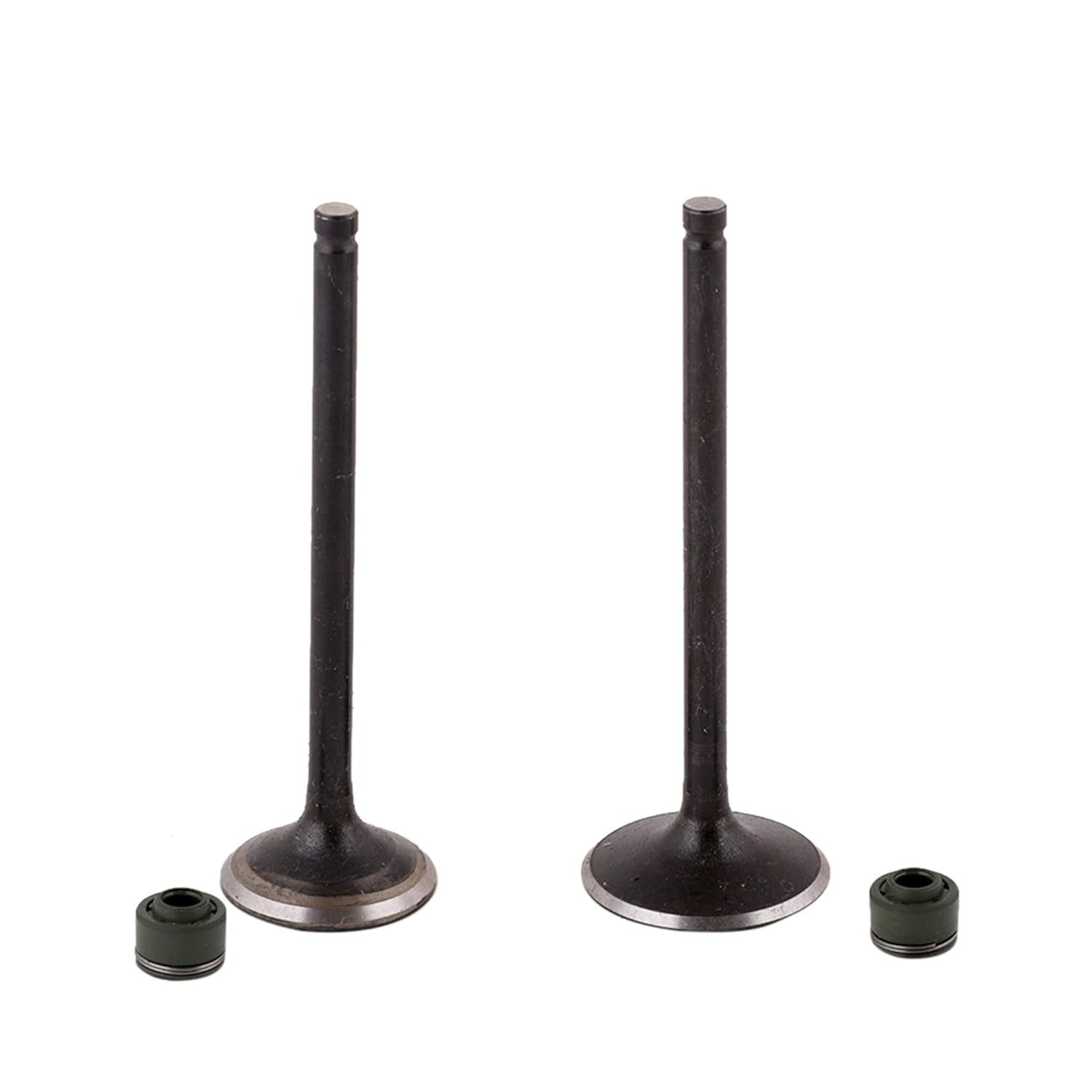 Valve Kit Xpulse