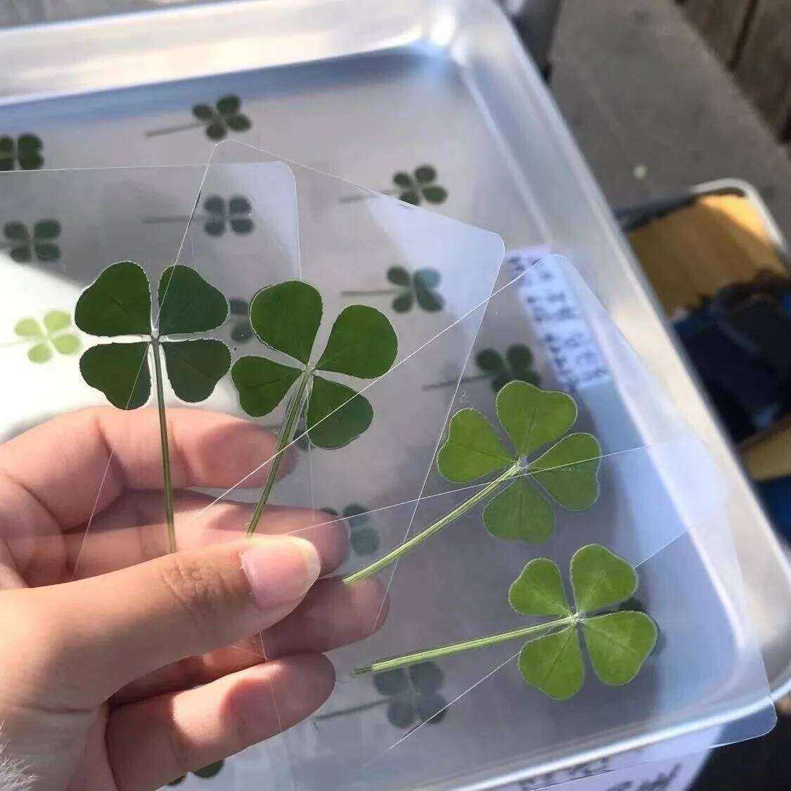 5/10 pcs lucky clover transparent acrylic cards fresh simple good luck bookmarks healing gifts